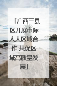 广西三县区开展市际人大区域合作 共促区域高质量发展